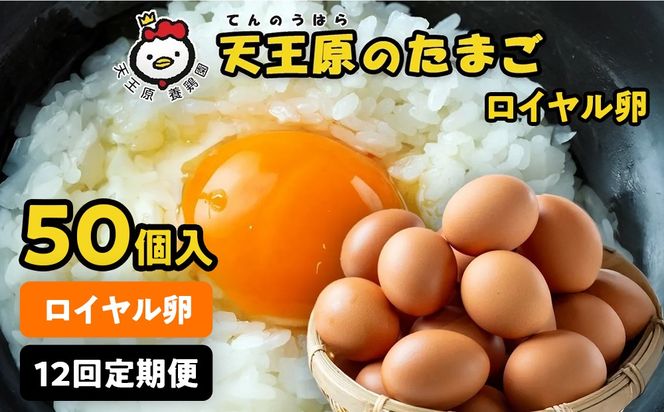 【定期便】12回定期 【天王原のたまご】 ロイヤル卵 50個入り