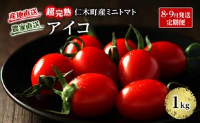 8・9月 2回発送[先行受付] 超完熟ミニトマト【アイコ】1kg 栽培期間中 農薬・除草剤不使用 サイズ混載 トマト ミニトマト アイコ 野菜 定期便 北海道 仁木町 [アイコファーム]