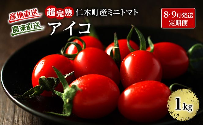 8・9月 2回発送[先行受付] 超完熟ミニトマト【アイコ】1kg 栽培期間中 農薬・除草剤不使用 サイズ混載 トマト ミニトマト アイコ 野菜 定期便 北海道 仁木町 [アイコファーム]