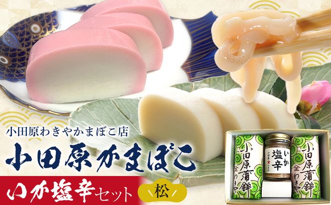 小田原蒲鉾・いか塩辛セット 松【かまぼこ 惣菜 手造り いかの塩辛 真いか 白造り 珍味 お取り寄せ 御中元 お中元 お歳暮 父の日 母の日 贈り物 日本酒 焼酎 おつまみ 家庭用 自宅用 贈答品 神奈川県 小田原市 】 142069_CN003
