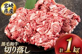 黒毛和牛 切り落とし 500g×2 計1kg [アグリ産業匠泰 宮崎県 美郷町 31be0048] 小分け 牛肉 切落し モモ バラ 牛丼 肉じゃが しぐれ煮 煮込み 炒め 焼肉 普段使い 調理 おかず 料理 国産 送料無料 パック 牛 すき煮 肉豆腐 甘辛煮 ハヤシライス すき焼き