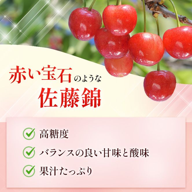 先行受付 北海道 仁木町産 さくらんぼ 佐藤錦 600g（300g×2）Lサイズ以上 ジューシー 旬のフルーツ 旬の果物 国産 日本産 サクランボ チェリー フルーツ 果物 果物類 ギフト 仁木町 [ジャパーナプランニング株式会社]