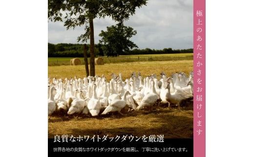 羽毛布団 【甲州羽毛ふとん】洗える二枚合わせ羽毛掛けふとん（ダブル） 掛け布団 寝具 羽毛布団 ダブル 洗える 回収キット付き 山梨 富士吉田