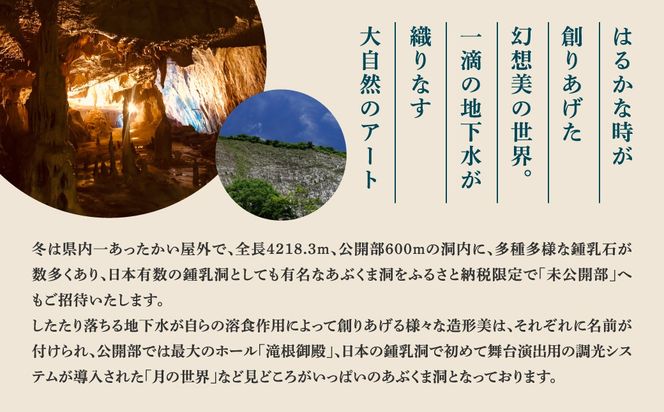 あぶくま洞 探検コース付き入洞引換券 （大人1名様分） 体験 鍾乳洞 洞窟 冒険 地下 チケット レジャー旅行 地底探検 観光 歴史 自然 福島県 田村市 一般財団法人田村市滝根観光振興公社