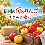 信州の旬のりんごおまかせ約5キロ（りんご・リンゴ・林檎）| りんご おまかせ 先行受付 予約 長野県 長野県産 信州産 長野県 伊那市 信州のりんご 信州 長野 伊那市産 上伊那 甘い みずみずしい シャキシャキ 約 5kg 家庭用 りんご リンゴ 林檎 産地直送 フルーツ 果物 デザート おやつ【018-33】