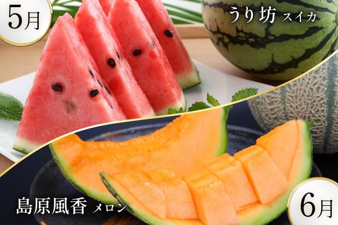 AJ699 【8回定期便】 夏のフルーツと長崎和牛 定期便 [ 果物 フルーツ びわ すいか 小玉スイカ メロン 赤肉メロン ナシ 梨 長崎和牛 定期便 和牛 お肉 肉 牛 牛肉 国産 ステーキ 焼肉 焼き肉 もも モモ バラ肉 スネ肉 ブロック すき焼き サーロイン トモサンカク シキンボ 贅沢宝庫 長崎県 島原市 ]