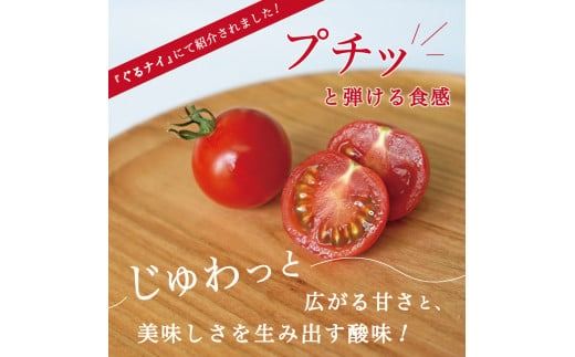 フルーツトマト「FUJITOMA」ボックスセット ミニトマトトマト 野菜 フルーツトマト 高糖度 山梨 富士吉田