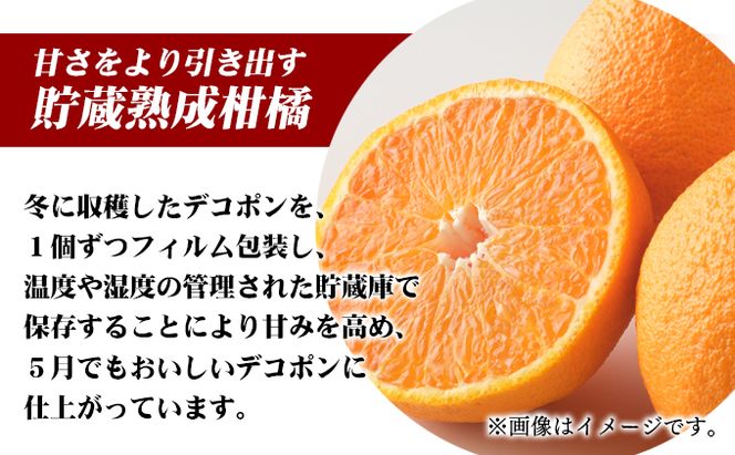 【県共通返礼品】貯蔵デコポン　約3kg化粧箱 果物 みかん 柑橘 低温貯蔵 香川県 