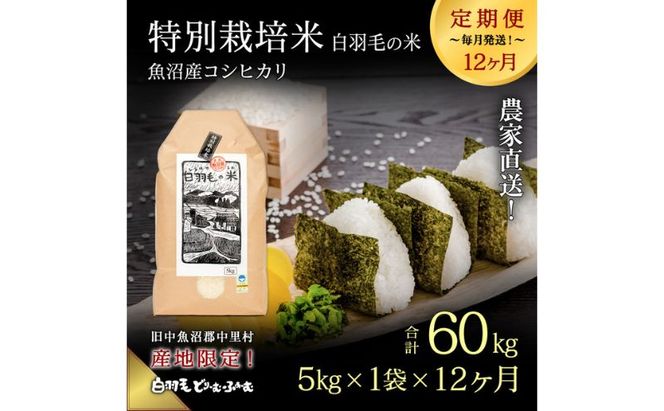 【通年受付】≪令和8年産≫【定期便／全12回】農家直送！魚沼産コシヒカリ特別栽培「白羽毛の米」精米 (5kg×1袋)×12回 60kg お米 コシヒカリ