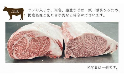 【スピード発送】常陸牛 A5 等級 サーロイン ブロック 10kg ( 茨城県共通返礼品 ) 黒毛和牛 国産 業務用 大量 ブロック肉 塊 お肉 肉 A5ランク ブランド牛 牛肉 ひたち牛 ブランド和牛 ステーキ用 [BM133us]