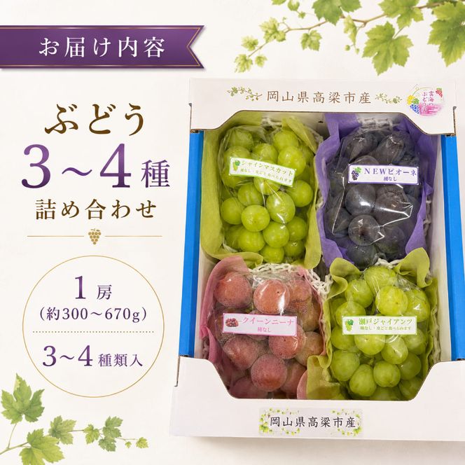 園主おまかせ！ぶどう3～4種詰め合わせセット 3房～4房入り 約2kg 化粧箱 岡山県 高梁市産