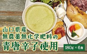 D129 クリーミーグリーンカレー６食セット