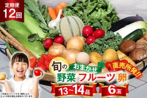 CD038 【12回定期便】 野菜・フルーツ・卵 旬のおまかせセット （野菜･フルーツ13～14種、卵6玉） [ 野菜セット 野菜 フルーツ 果物 たまご 鶏卵 産地直送 厳選 長崎県 島原市 送料無料]