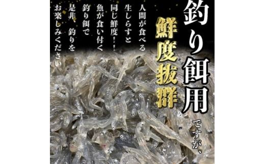 岬だよりの 生しらす釣り餌用 250g×6袋