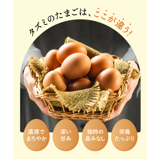 【累計600万個突破！】★TVで紹介されました★【定期便】タズミの卵Ｌサイズ（30個×12ヶ月）097AB01N.／こだわり卵 市川町産 兵庫県産 たまご 卵 たまごかけご飯 玉子 生卵 鶏卵 タマゴ 卵焼き TKG 12か月 定期便