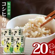 【数量限定】R7年産取手市産コシヒカリ 玄米20kg（5kg×4袋）|お米 米 こしひかり コシヒカリ 玄米 茨城県 取手市（BS015）
