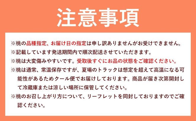 【2026年先行予約】白桃 6玉(1.6kg以上) 株式会社山博 (中本青果)《2026年7月上旬-8月中旬頃出荷》岡山県 笠岡市 桃 もも フルーツ 旬 果物 国産 岡山県産 送料無料 冷蔵 化粧箱【配送不可地域あり】---Y-23---