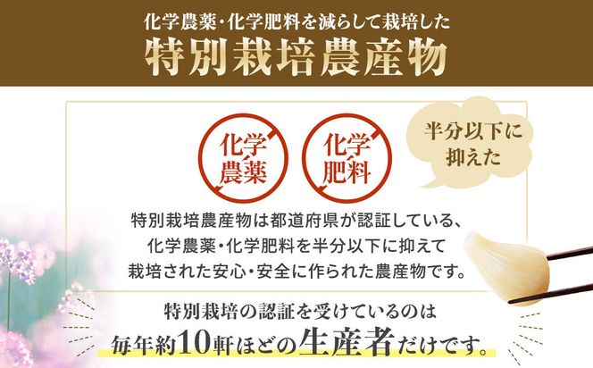 325.【特別栽培】生ラッキョウ　計4kg（ラクダラッキョウ×2kg　玉ラッキョウ×2kg）　※2026年5月下旬～7月上旬頃に順次発送予定 313726_AP001