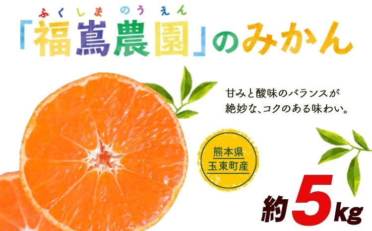 『福嶌農園』のみかん 約5kg 2S-2Lサイズ 予約受付中 フルーツ 秋 旬 熊本県玉名郡玉東町 甘みと酸味のバランスが絶妙♪『福嶌農園』みかん[11月下旬-12月末頃出荷]---sg_hukumkn_bc11_24_11000_5kg---