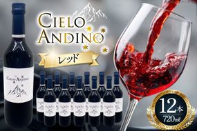 ワイン 赤 シエロアンディーノ・レッド 720ml 12本 セット [カサ・ピノ・ジャパン 山梨県 韮崎市 20745347] ワインセット 山梨 酒 お酒 赤ワイン アルコール ぶどう 果実酒