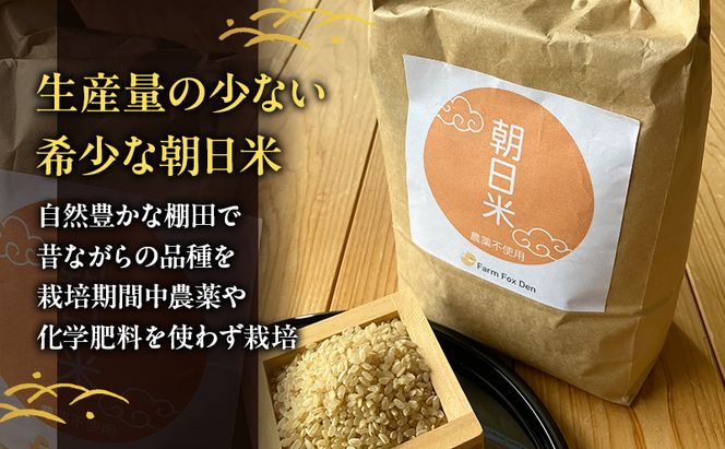 先行受付 農薬不使用 ホタル舞う里山の棚田米 玄米2kg 令和8年産 朝日2kg×1袋