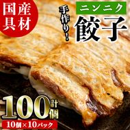 国産豚肉使用！手作りニンニク餃子(計100個・10個×10パック)国産 ギョウザ ぎょうざ お肉 にんにく おかず 惣菜 おつまみ【スーパーよしだ】akn058-06