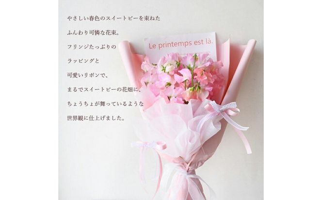 春色スイートピー 春のお花 スイートピー ピンク系 花束 門出 誕生日 結婚 ウエディング ギフト お祝い プレゼント 花 フラワー 送別会 退職祝い 結婚記念日 送別 香り 春の花 272230_BG096