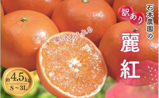 みかん 訳あり S-3L サイズおまかせ 石本農園の麗紅 4.5kg 【2026年1月中旬から2月末頃までに順次発送】/ みかん ミカン 蜜柑 麗紅 れいこう 訳あり おまかせ【mis017A】