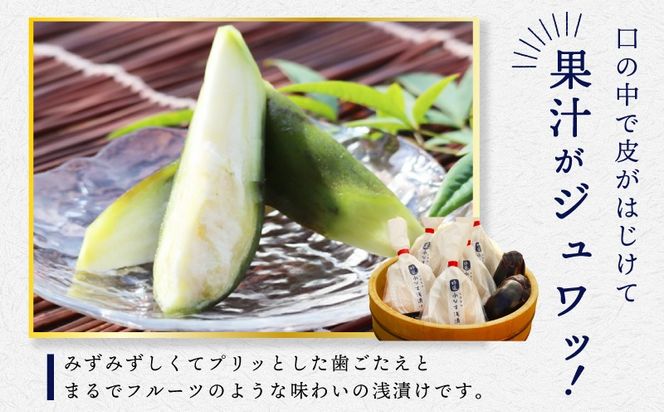 099H4576t 【お中元対応】「特選最上級品」天然素材水なす浅漬け4個入