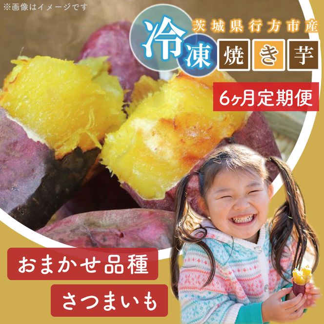 【6ヶ月定期便】★訳あり★紅はるか冷凍焼き芋約3kg＋おまかせ品種さつまいも　合計約3.2kg（EY-30）