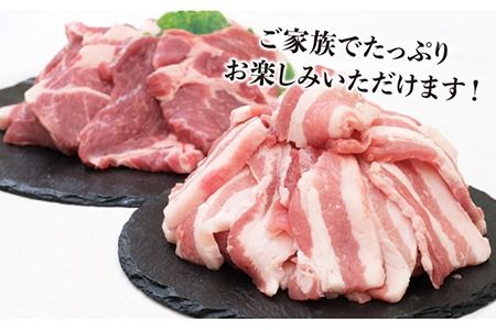 JA糸島 糸島豚 焼肉 セット 肩ロース バラ 糸島市 / JA糸島産直市場 伊都菜彩 [AED004]