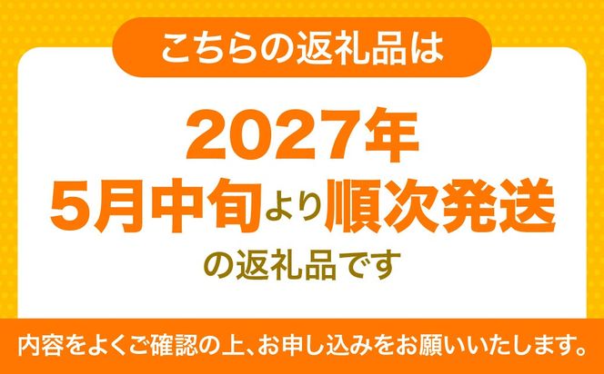【先行予約】ジューシーフルーツ5kg（2027年5月中旬より順次発送） IKTF038