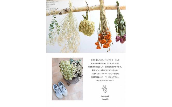 【母の日】サプライズ超BIGサイズ かすみ草ブーケ＜お届け日：2026年5/4～5/10 当店おまかせ ＞母の日カード付き【 母の日 ギフト かすみ草 花 贈り物 大阪府 門真市 】 272230_BG123