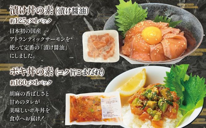 アトランティックサーモン（冷凍）お試しセット（サーモンブロック無し）