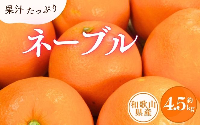 ネーブル 約4.5kg / サイズおまかせ　※2027年1月中旬～2026年2月中旬頃に順次発送予定(お届け日指定不可)　紀伊国屋文左衛門本舗　【sgtb431D】