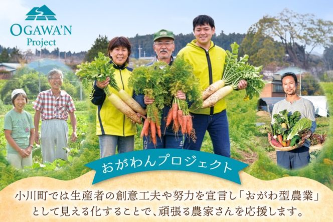 野菜 セット OGAWA'N 野菜セット 定期便 12回 [JA埼玉中央 埼玉県 小川町 138] 1年 12ヶ月 連続 やさい 季節野菜 詰め合わせ 食べ比べ 旬 農産物