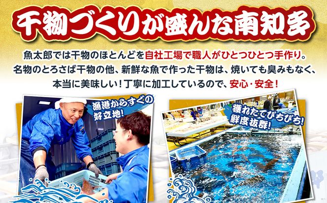 魚太郎名物 自家製とろさば入り 干物セット