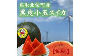 【先行予約】黒皮小玉スイカ 訳あり 鳥取県北栄町産 農家指定（こちらの返礼品は、大栄西瓜ではありません） 313726_CK006
