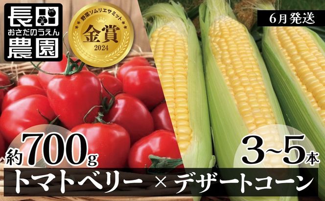 【2025年度予約分】あま～いトウモロコシ＆トマトベリー　長田農園しかできない夢の共演　【個数限定】 H004-160