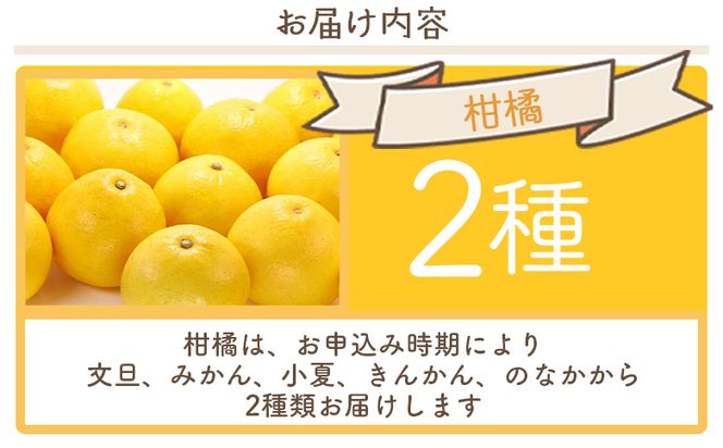 メロン 柑橘 2種セット マスクメロン yr-0111