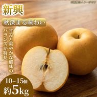 【秋深まる味わい】熊本県産 新興 10～15個(約5kg) 1箱 新興 梨 フルーツ 甘い 濃厚 農家直送 ギフト 贈答用 家庭用 お取り寄せ 熊本県