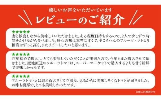 てるて姫 中箱 約1.2kg × 2箱 【12～15玉/1箱】 2026年産 てるてひめ 糖度9度 以上 野菜 フルーツトマト フルーツ トマト とまと [AF038ci]