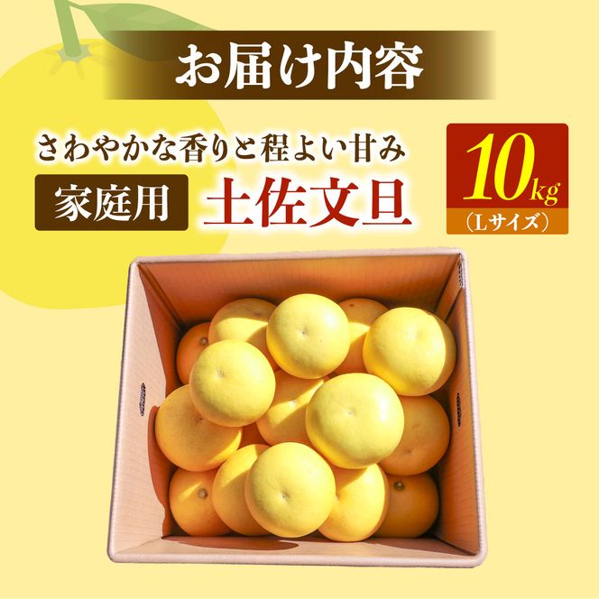 【先行予約】土佐文旦の創始 宮地文旦園の土佐文旦 家庭用小玉(L) 約10キロ 〈2027年3月上旬～4月下旬〉ぶんたん ブンタン 23～26個入 10kg フルーツ 柑橘 みかん 果物 くだもの 柑橘類 デザート 高知県 土佐市【宮地文旦園】[BQBP009]
