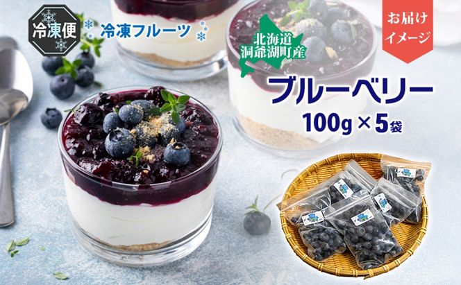 役に立ちます 冷凍カット果物 ブルーベリー100g×5袋 9月初旬よりお届け 冷凍 カット 果物 小分け 時短 弁当 簡単 調理 便利  国産 北海道 洞爺湖町