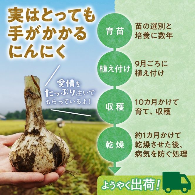 【北海道産】十勝育ちのにんにく バラ5kg にんにく ニンニク ガーリック にんにく 北海道産 にんにく_S021-0026