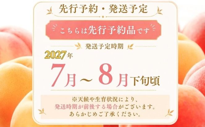 【2027年 先行予約】 山梨県都留市産　朝採れ桃 約1.5kg 以上(５～７玉）　FF008