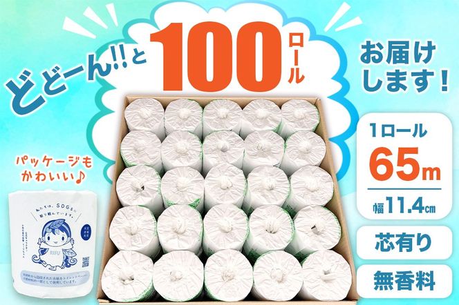 《定期便5ヶ月》【利府町オリジナル】トイレットペーパー（ロール数100個×5回）|06_sik-020105