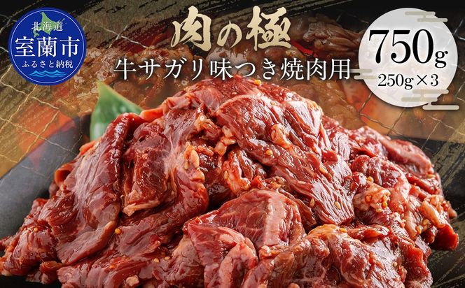 牛サガリ味つき焼肉用 750g (250g×3)  MROBM028
