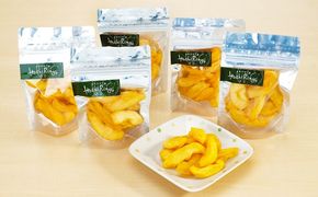 宇野りんご園のドライフルーツ アップル5個セット（干しりんご）長野 信州 坂城 林檎 加工食品 リンゴ 