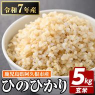 鹿児島県産の玄米 ひのひかり(計5kg) 国産 玄米 自社精米 ご飯 おこめ おにぎり お弁当 ひのひかり【谷口ファーム】akn064-04
